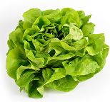 SALADE