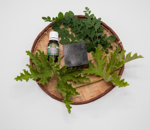 PAIN VISAGE MORINGA